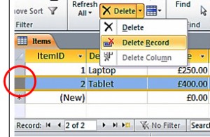 Delete A Record In A Datasheet 1