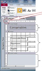 Form Design View